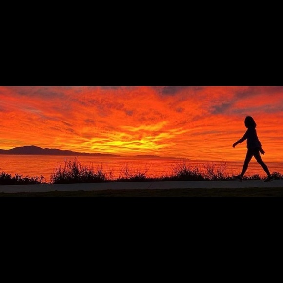 Meet your Posher, Toni - Picture 1 of 1